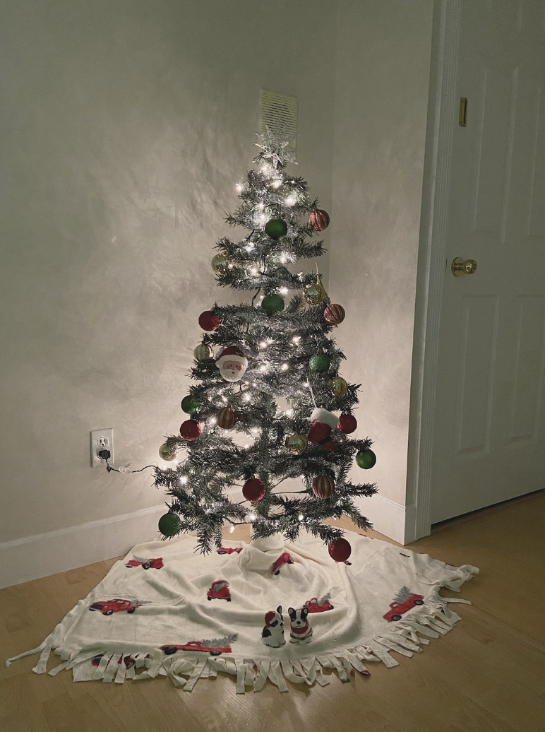 Cozy Day in Montreal